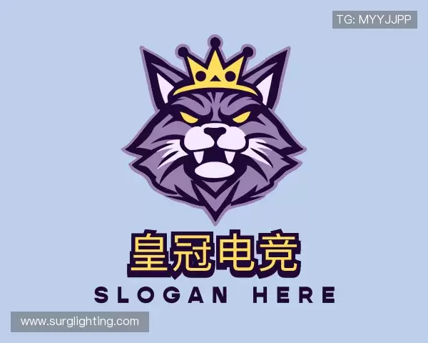 关于皇冠电竞